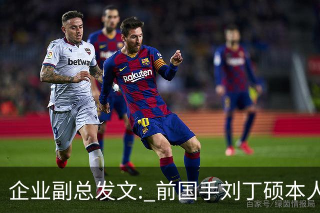 企业副总发文: 前国手刘丁硕本人就是饭圈，一直在给乒乓饭圈续命