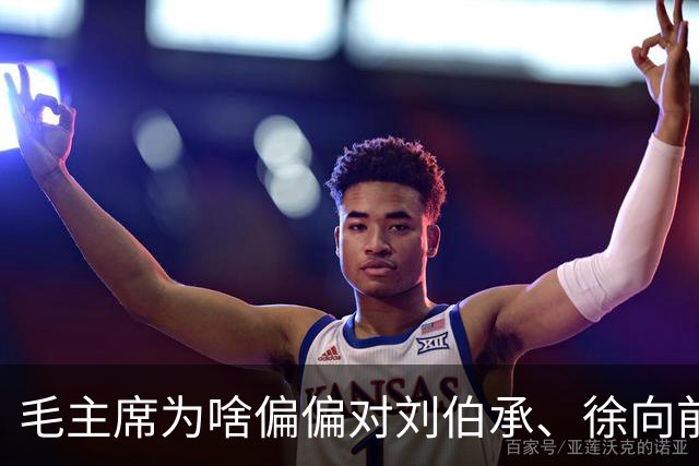 毛主席为啥偏偏对刘伯承、徐向前，嘴下留情，一个不忍说，一个没得说