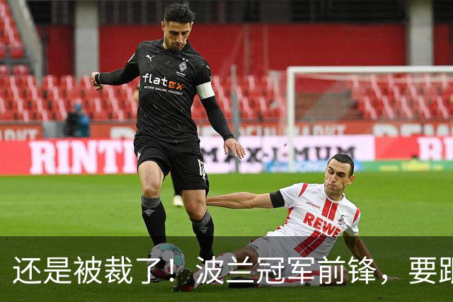 还是被裁了！波兰冠军前锋，要跟杨瀚森说再见！