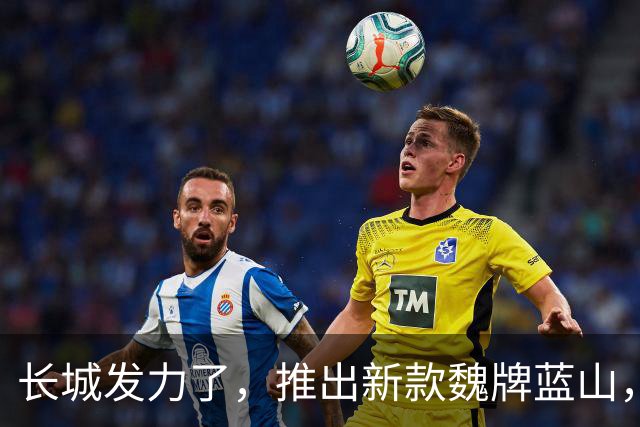 长城发力了，推出新款魏牌蓝山，售价可能35万左右？